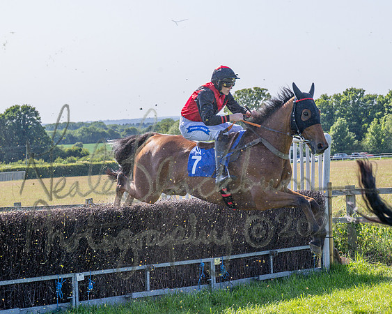 Race 5 - The Restricted (48 of 103)