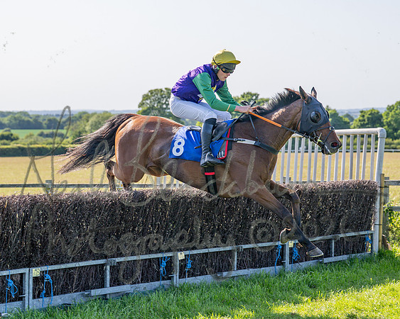 Race 5 - The Restricted (53 of 103)