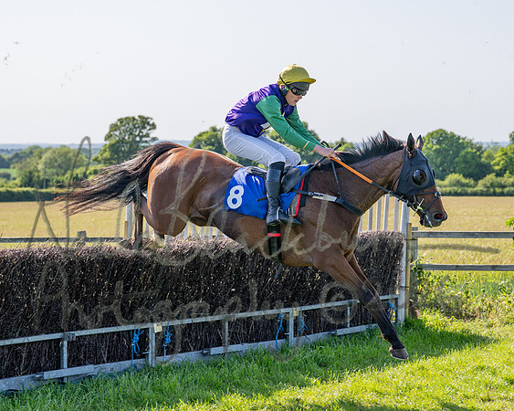 Race 5 - The Restricted (54 of 103)