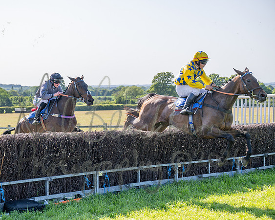 Race 5 - The Restricted (58 of 103)