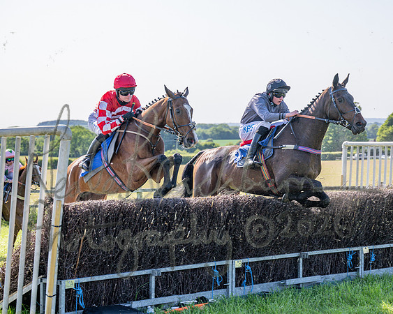 Race 5 - The Restricted (59 of 103)