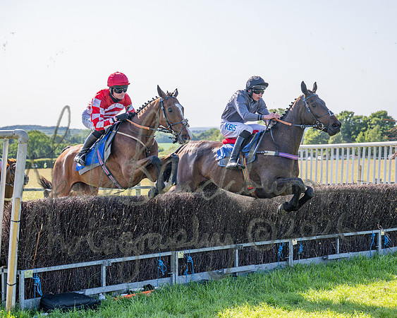 Race 5 - The Restricted (60 of 103)