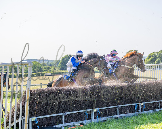 Race 5 - The Restricted (63 of 103)