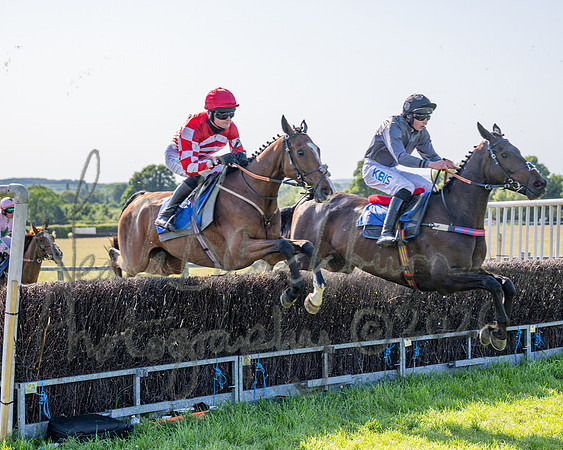 Race 5 - The Restricted (61 of 103)