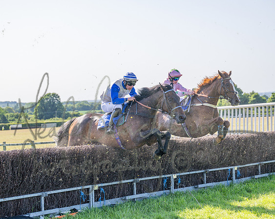 Race 5 - The Restricted (64 of 103)