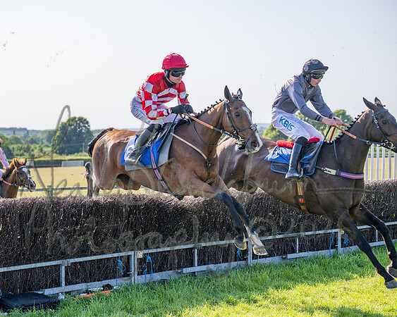 Race 5 - The Restricted (62 of 103)