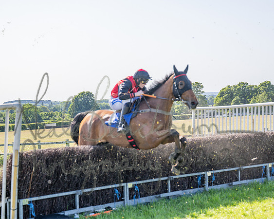 Race 5 - The Restricted (66 of 103)