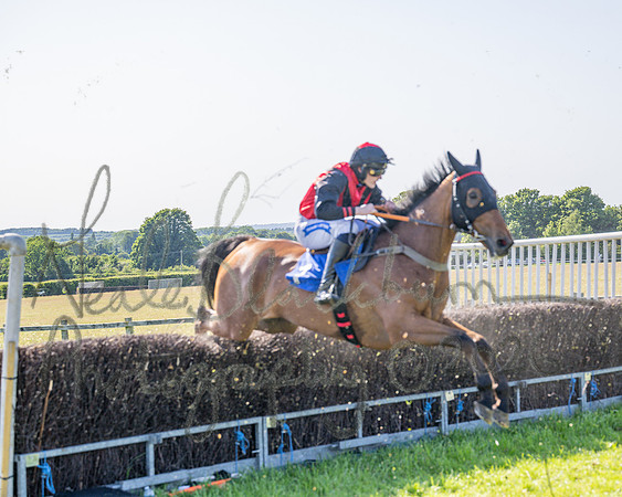 Race 5 - The Restricted (67 of 103)