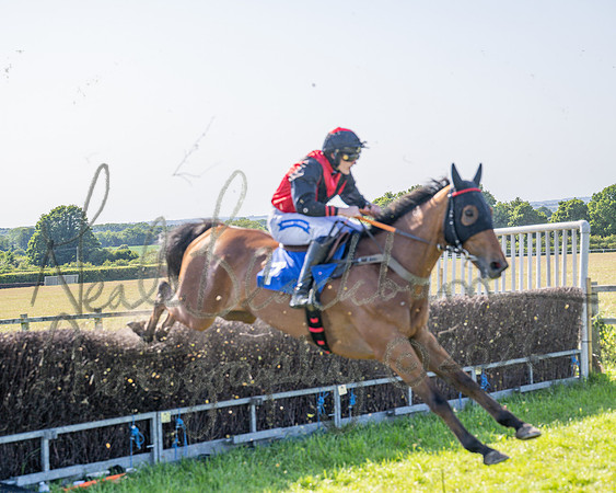 Race 5 - The Restricted (68 of 103)