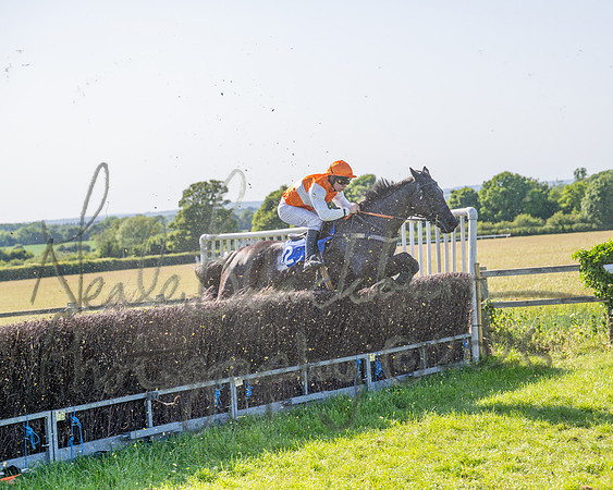 Race 5 - The Restricted (69 of 103)