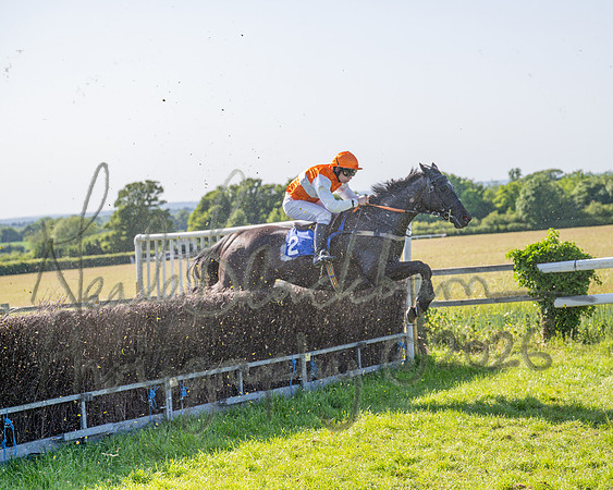 Race 5 - The Restricted (70 of 103)