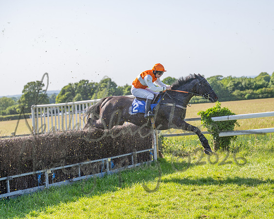 Race 5 - The Restricted (71 of 103)