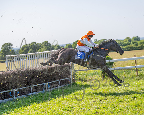 Race 5 - The Restricted (73 of 103)