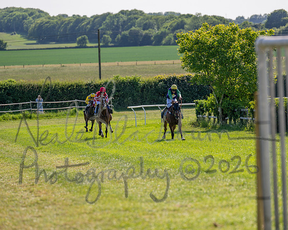 Race 5 - The Restricted (74 of 103)
