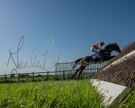 Race 5 - The Restricted (72 of 103)