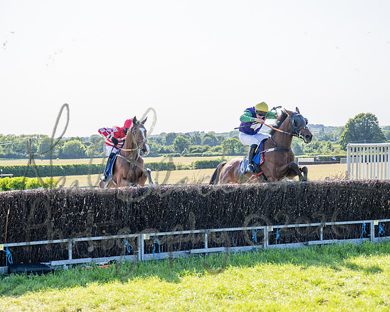 Race 5 - The Restricted (77 of 103)