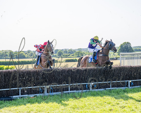 Race 5 - The Restricted (78 of 103)