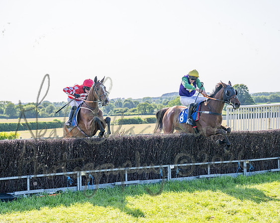 Race 5 - The Restricted (79 of 103)