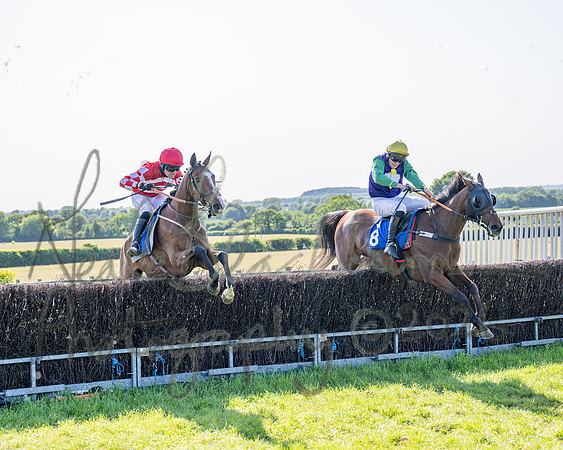Race 5 - The Restricted (81 of 103)