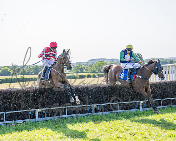 Race 5 - The Restricted (82 of 103)