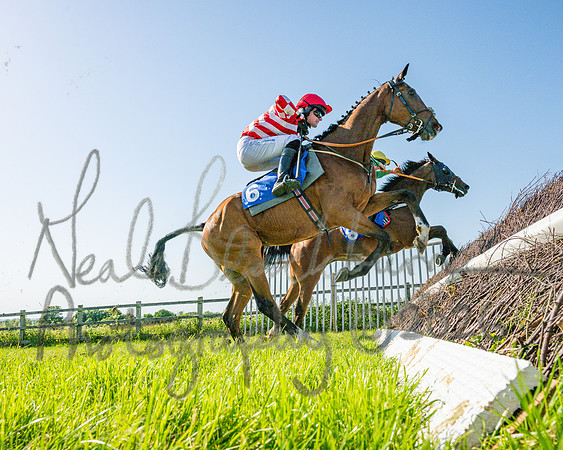 Race 5 - The Restricted (80 of 103)