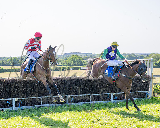 Race 5 - The Restricted (84 of 103)