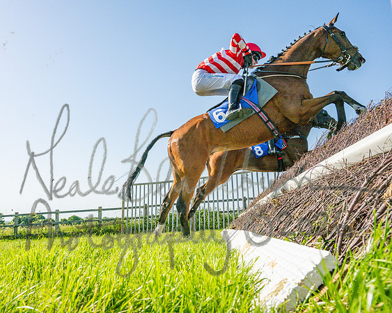 Race 5 - The Restricted (83 of 103)