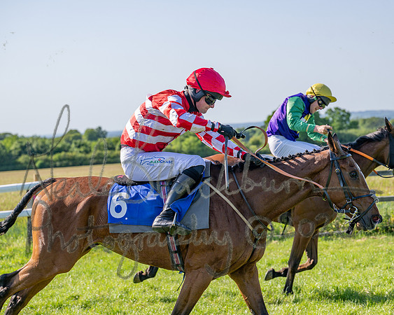 Race 5 - The Restricted (85 of 103)