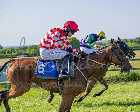 Race 5 - The Restricted (86 of 103)