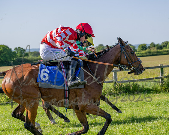 Race 5 - The Restricted (87 of 103)