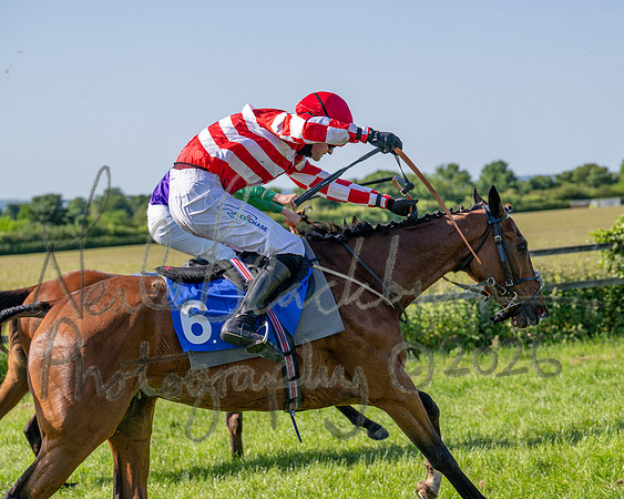 Race 5 - The Restricted (88 of 103)