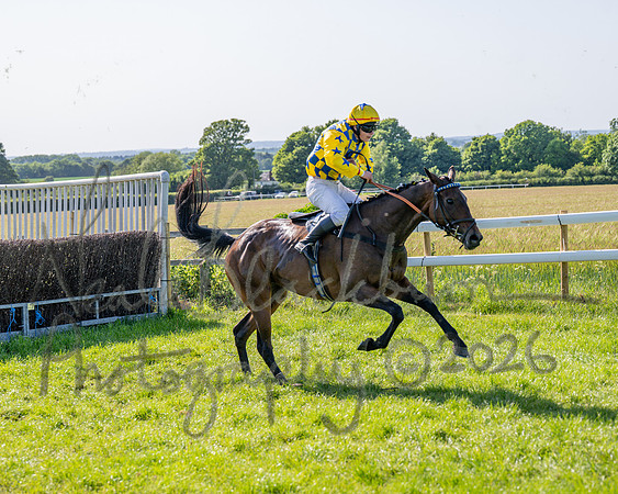 Race 5 - The Restricted (89 of 103)