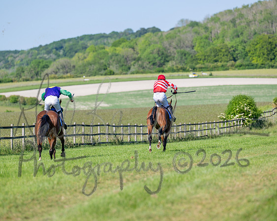Race 5 - The Restricted (91 of 103)