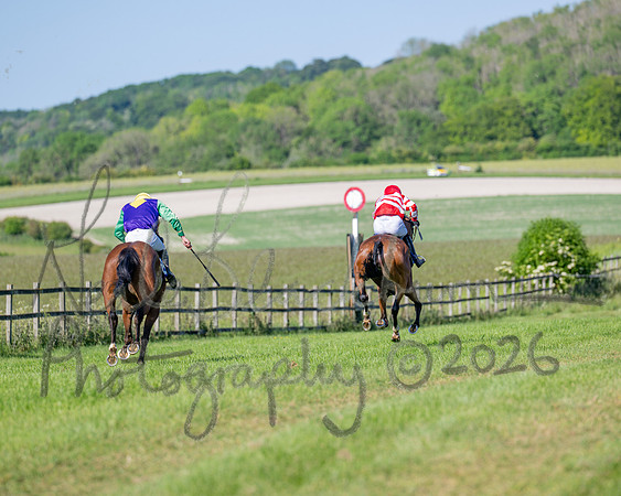 Race 5 - The Restricted (92 of 103)