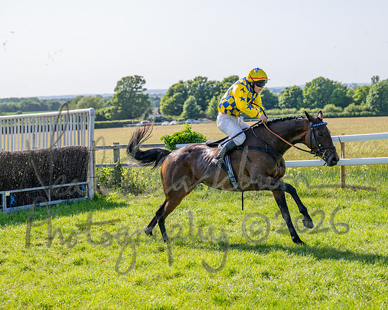 Race 5 - The Restricted (90 of 103)