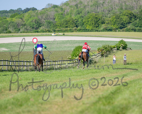 Race 5 - The Restricted (93 of 103)