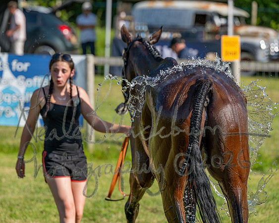 Race 5 - The Restricted (94 of 103)