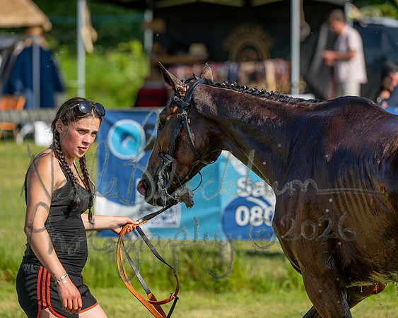 Race 5 - The Restricted (95 of 103)
