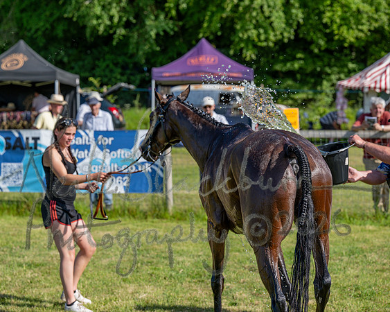 Race 5 - The Restricted (97 of 103)