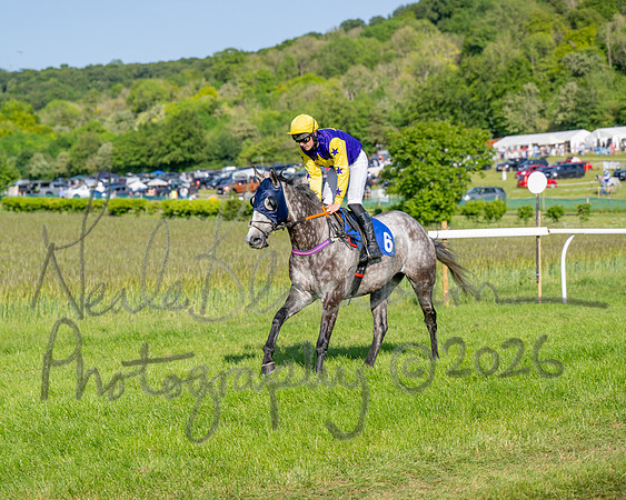 Race 6 - Maiden (2 of 108)