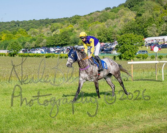 Race 6 - Maiden (3 of 108)