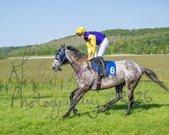 Race 6 - Maiden (4 of 108)