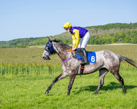 Race 6 - Maiden (5 of 108)