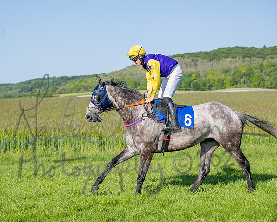 Race 6 - Maiden (5 of 108)