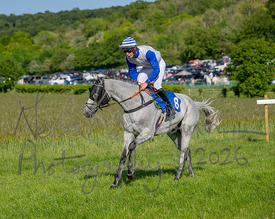 Race 6 - Maiden (6 of 108)