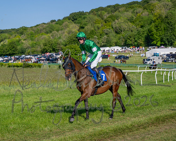 Race 6 - Maiden (8 of 108)