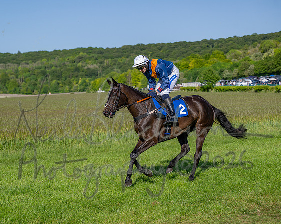 Race 6 - Maiden (11 of 108)
