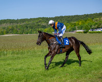 Race 6 - Maiden (12 of 108)