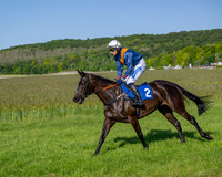 Race 6 - Maiden (14 of 108)