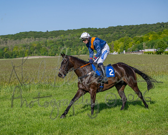 Race 6 - Maiden (13 of 108)